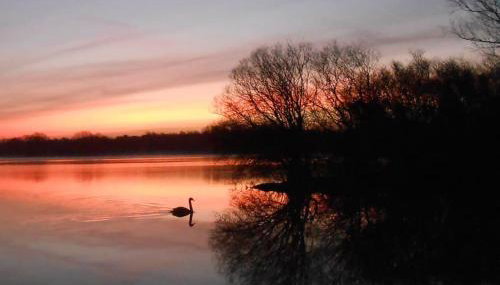 THE LAKE HOUSE: a delightful and peaceful retreat. - Foto 3