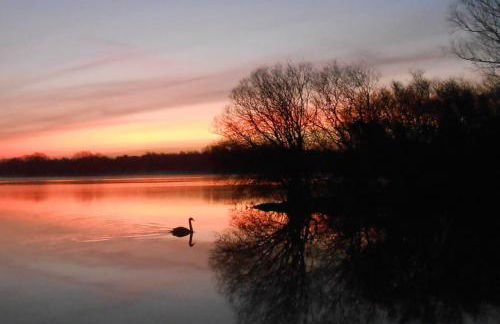 THE LAKE HOUSE: a delightful and peaceful retreat. - Foto 3