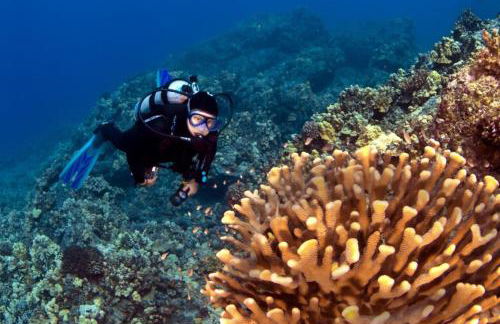 Kapalua Golf Villas 15T5 · KGV 15T5 Villa w Panoramic Golf Cours - Foto 50