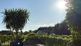 Aparthotel Rotheul - Foto 5