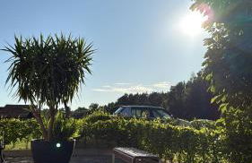 Aparthotel Rotheul - Photo 5