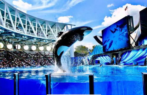 Hermoso apartaestudio en Orlando - Foto 15