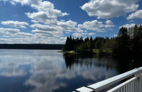 Ferienwohnungen Carlsfeld - Foto 62
