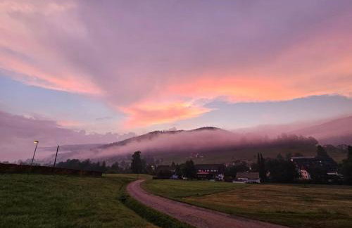 Ferienwohnung Hirschlein mit Schwarzwaldblick in Baiersbronn - Foto 20