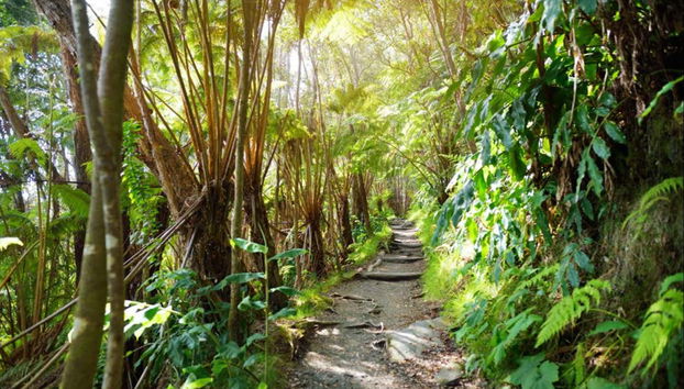 Hike through an amazing landscape