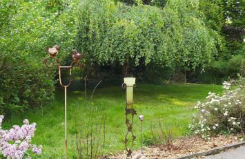 Mooroase Bauerngarten - Ovelgönne - Nordsee - Weser - Jade - Foto 21