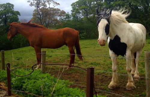 The Nook Cottage In The Heart Of Northumberland - Foto 30