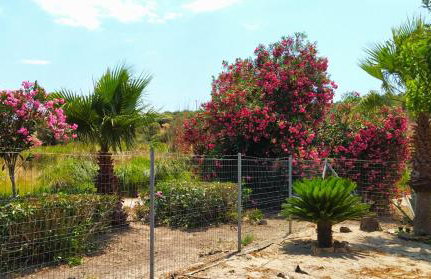 Mareliva Retreat - Foto 47