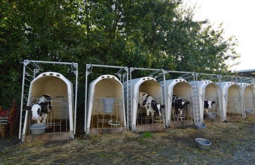 Lovely Holiday Home in Osmanville With Terrace - Foto 43