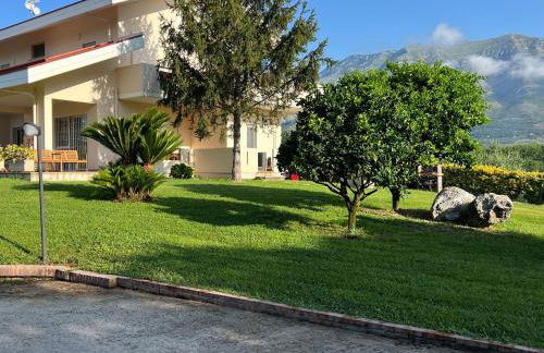 Livingapple - Foto 18