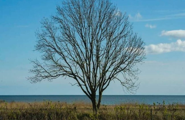 10 Person Holiday Home in Marstal - Foto 34