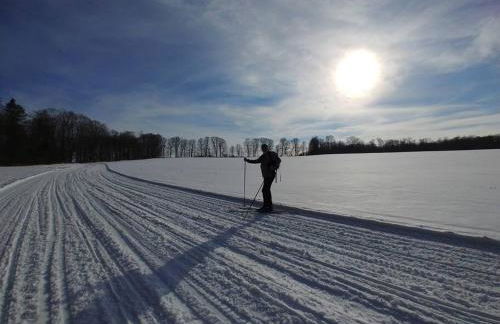 Spacious country retreat close to town and nature, Sylvana Farm VT - Foto 25