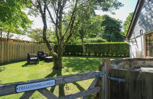 Tregonning Lodge - Foto 27