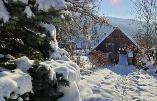 Garden Apartament Kurnik - Foto 34