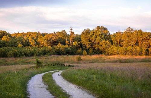 Villa Forestview - Foto 34