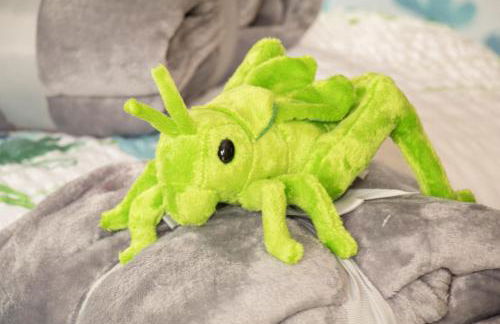 Auf'm Reifnhof - Foto 40