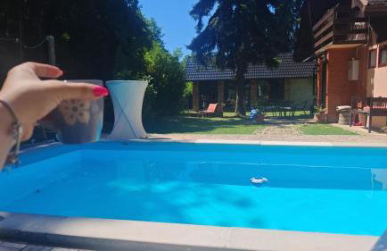 Kuća za odmor ZORA BAJNA - Foto 48