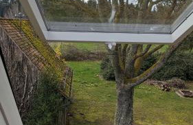 Feriendomizil Nordschwarzwald - Foto 36