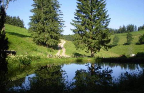 Ferienwohnung, Herrischried - Foto 26