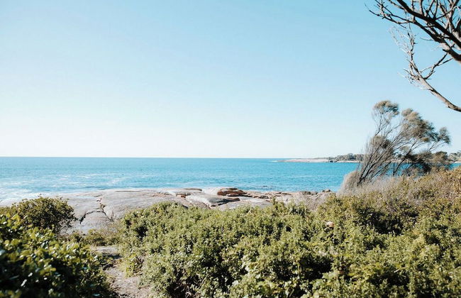 Cod Rock Point - Foto 49