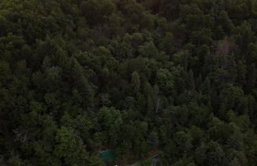 Chalet Alma - Foto 78