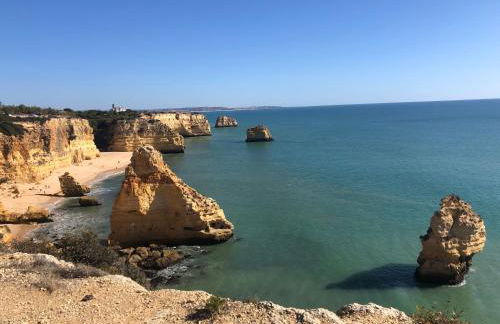 Casa Dos Cedros - Foto 77