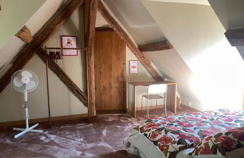 Gîte de charme entre Tours et Villandry - Foto 7