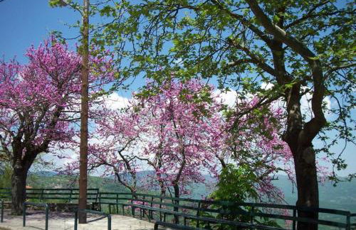 Livadaki Village - Δασικό Χωριό Λιβαδάκι - Foto 77