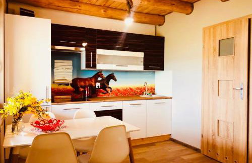 Domki Eden z Ballią - Foto 45