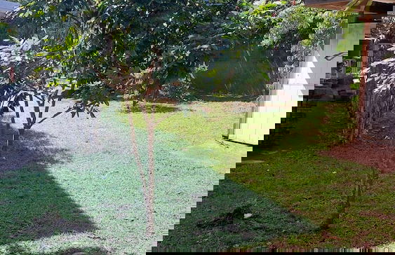 fare pk 2.9 raiateaguest - Foto 37