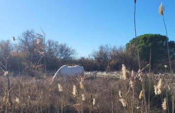 MARINA Belle vue avec appontement - Foto 39