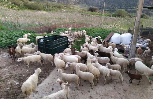 cortijo la laguna - Foto 19