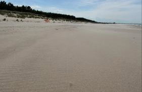 Między Falami - Foto 35