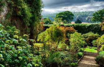 Glamis House - Photo 45