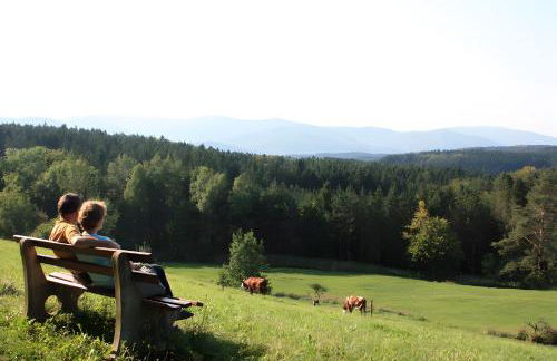 Schlosshof - Der Urlaubsbauernhof - Foto 6