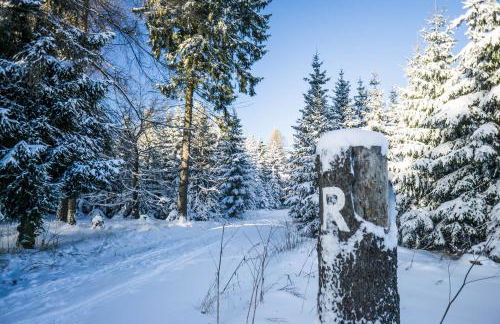 Ferienwohnung Naturzeit Lauscha - Foto 31