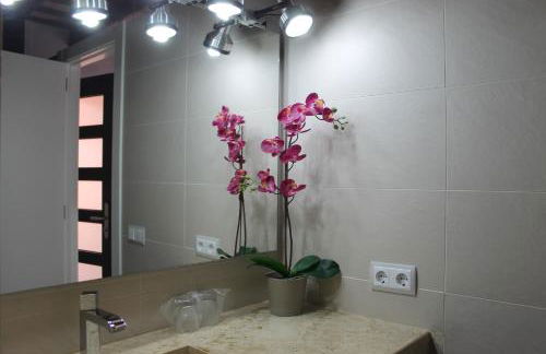 Apartaments y Habitacions Entre Volcans - Foto 53