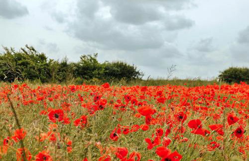 Finest Retreats - Owls Nest - Foto 5