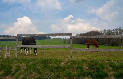 Moderne Unterkunft in Leutkirch - Foto 24