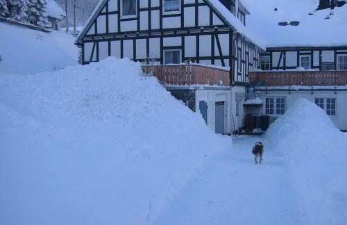 Gasthaus Wollmeiner - Foto 10