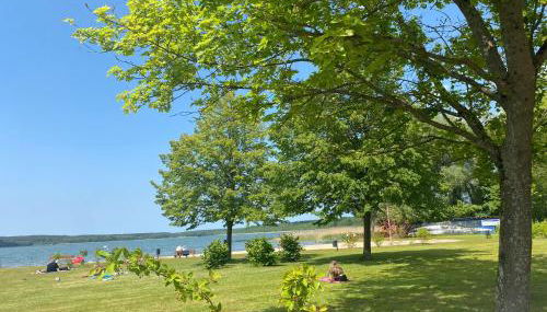 Ferienhaus am Schilfweg mit Kanu - Foto 3