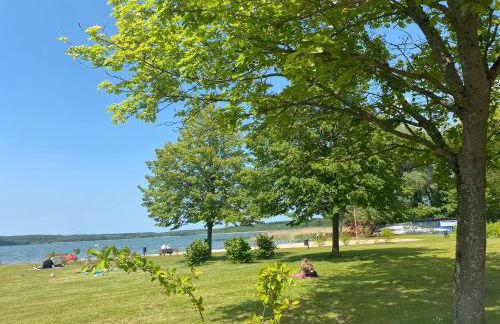 Ferienhaus am Schilfweg mit Kanu - Foto 3