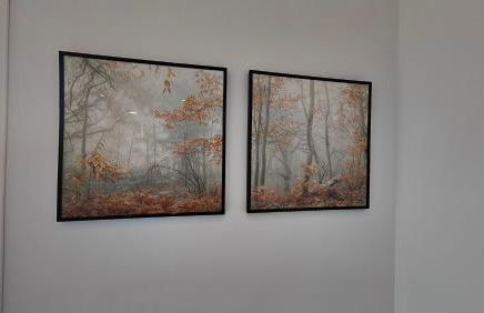 O meo refuxio - Foto 14