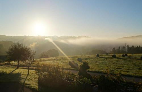 Ferienwohnung Hof Lamberty - Foto 15