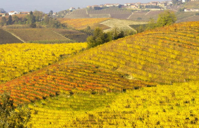 Holiday Home Casa Nanda - Foto 2