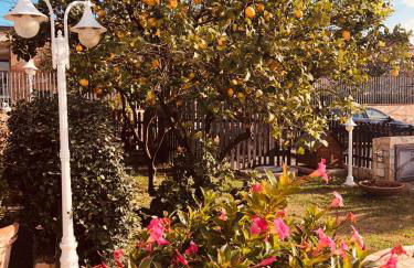 Boccy Brothers - Foto 65