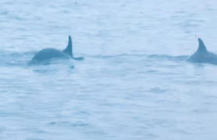 Villa Cala d Oro Vue mer Piscine et Crique privée - Foto 58