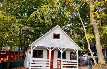 Domek nad jeziorem Lubkowo 1 - Foto 17