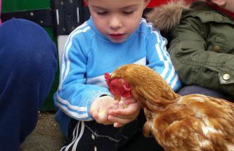 La Granja De Vitoria - Foto 15