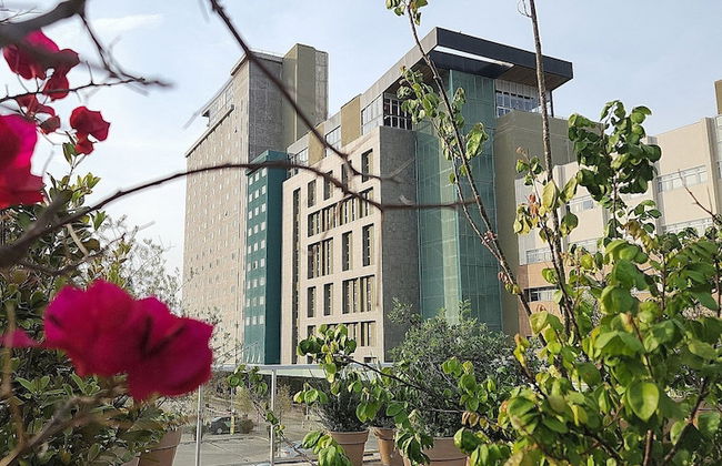 Moinho Moradia - Foto 35